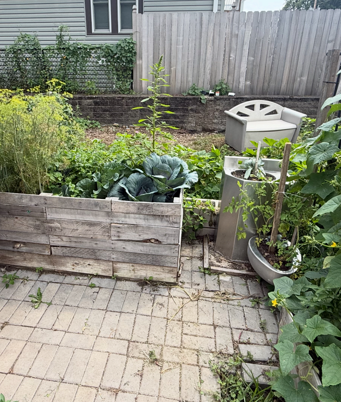 The community garden plot, sized to the cell Chavis Willis spent ten years in, with raised beds and a salvaged prison sink and toilet holding living plants